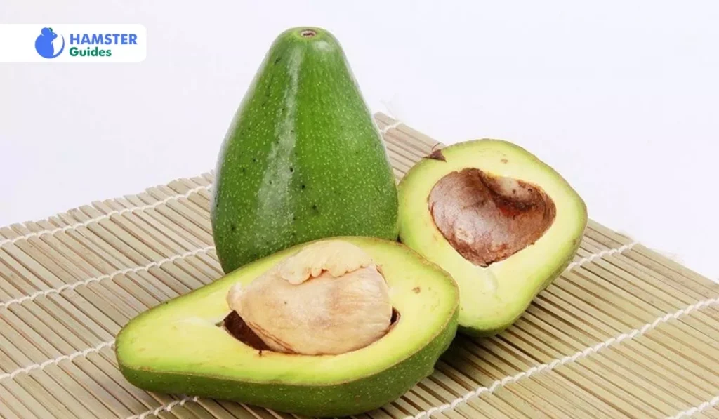 Addressing Avocado Toxicity