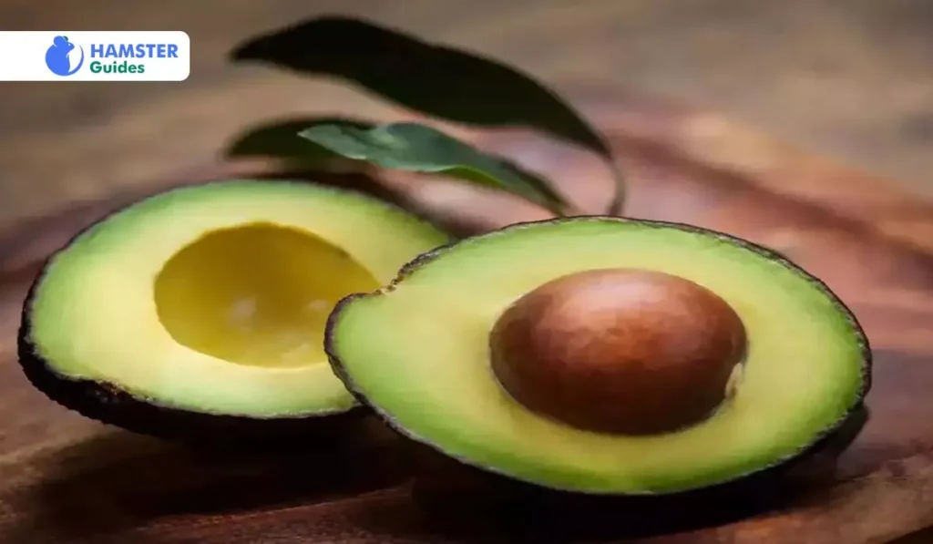 Avocado Substitutes: Safe Dietary Alternatives for Hamsters