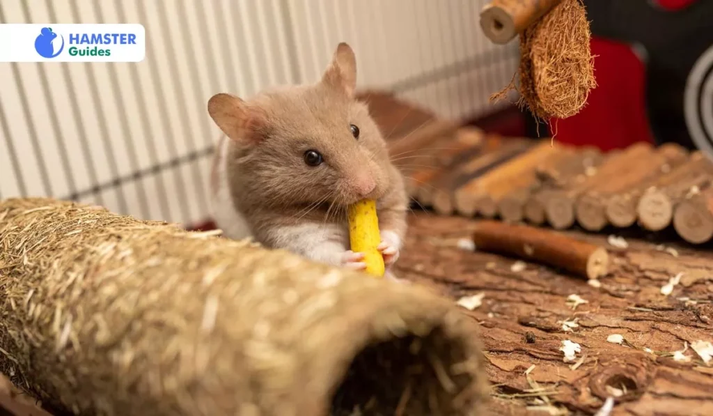 Avocados and Hamsters: A Cautionary Note