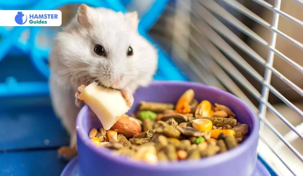 Can Dwarf Hamsters Eat Papaya