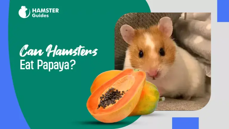 Can Hamsters Eat Papaya