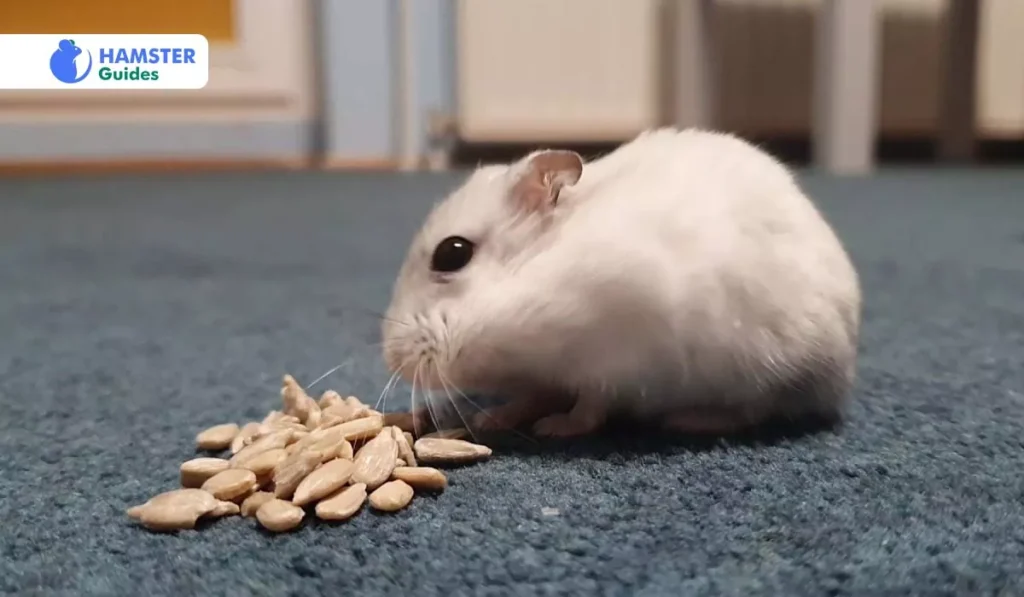 Can Hamsters Eat Papaya Seeds