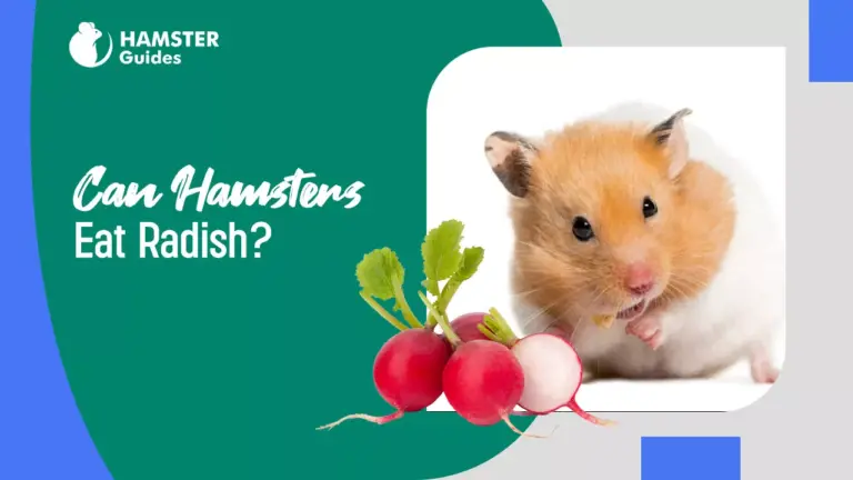 Can Hamsters Eat Radish
