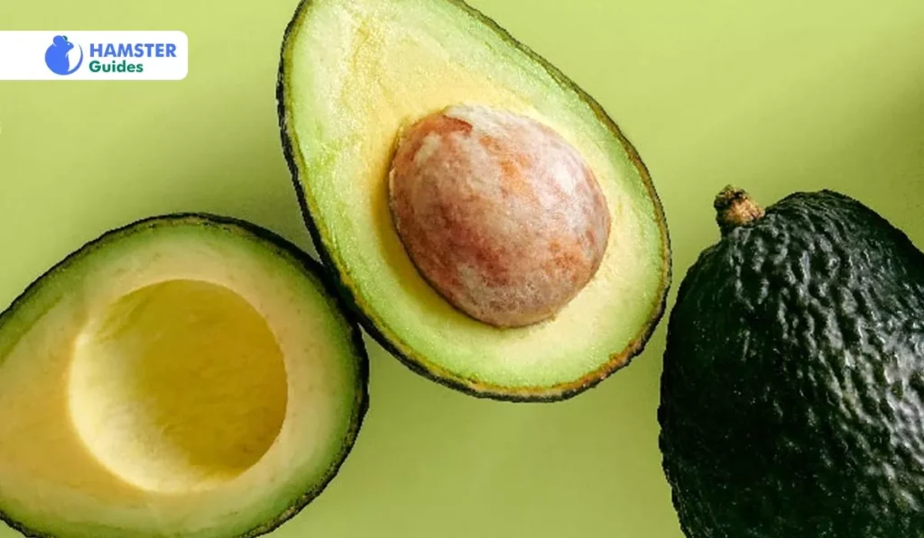Evaluating Avocado's Nutritional Value