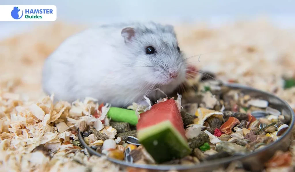 Honeydew Melon Seeds' Advantages for Hamsters
