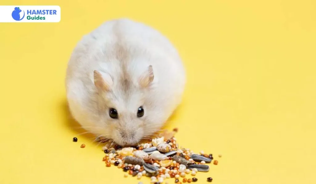 How Do You Give Hamsters Honeydew Melon Seeds