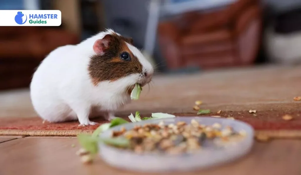 Precautions and Guidelines for Feeding Papayas to Hamsters