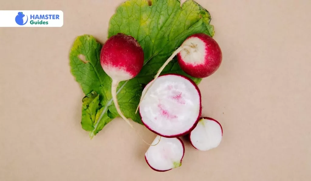 Recipe for a Healthy Hamster Diet with Radishes