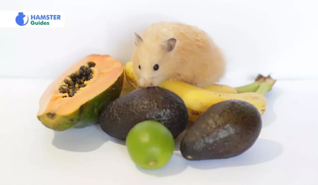 The Advantages Of Papaya For Hamsters