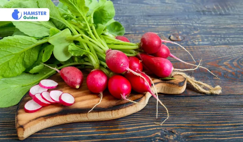 Understanding the Nourishing Advantages of Radishes