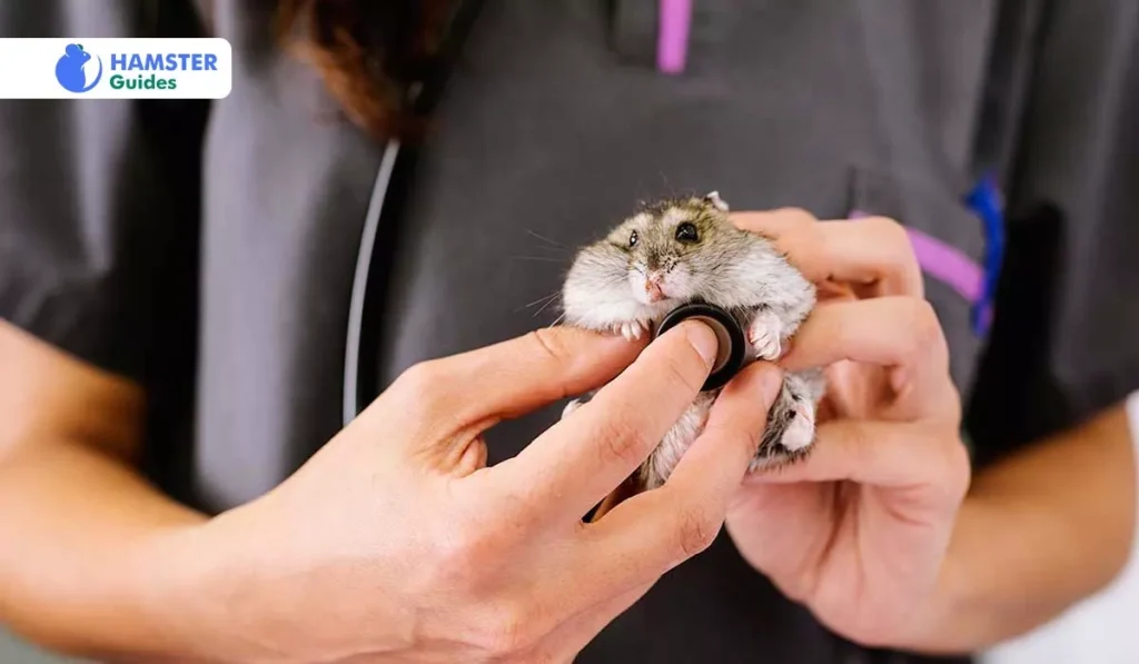 Veterinary Care and Pet Health Concerns