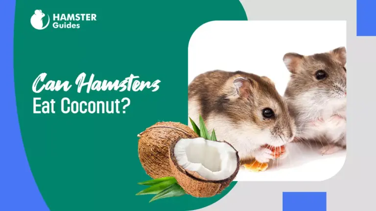 Can Hamsters Eat Coconut