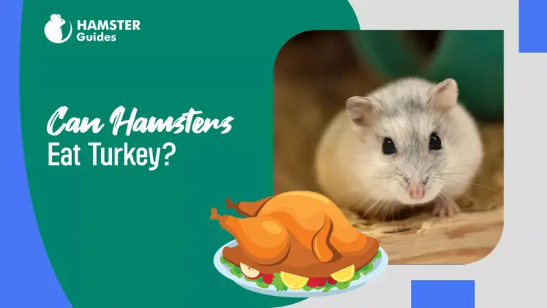 Can Hamsters Eat Turkey