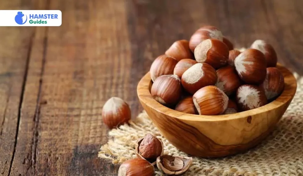 Can Hamsters Have Hazelnuts In Shells? and How to Provide Hazulnut to Your Hamster