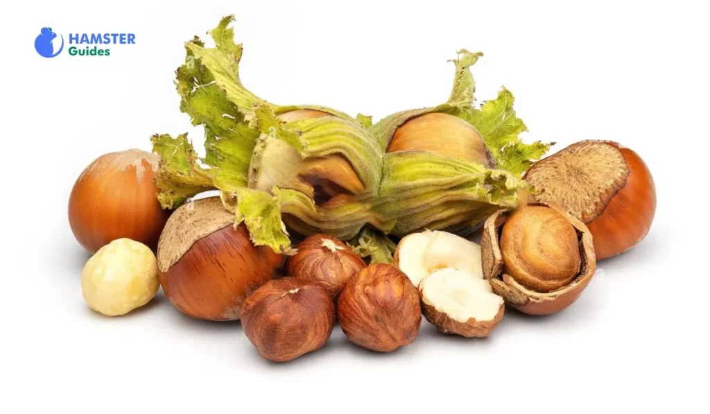 The Adaptability of Hazelnut Varieties to Various Hamster Breeds 