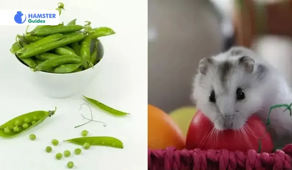An Overview of Different Types of Peas and Their Suitability to Hamsters