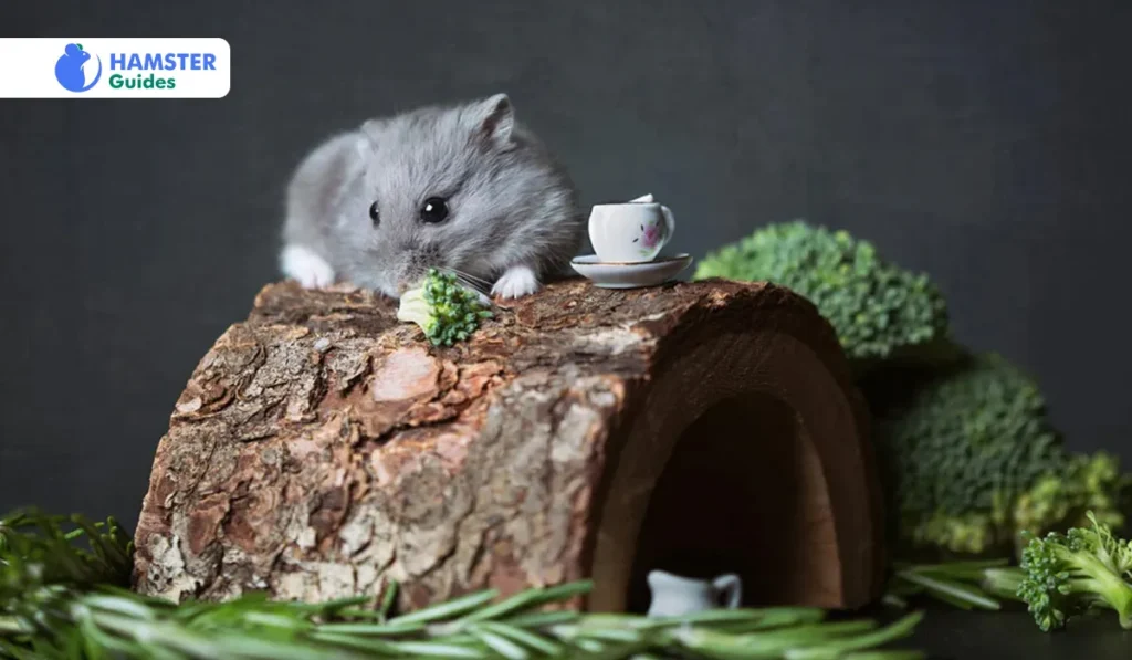 Appropriate Amount Of Kale For Hamsters 
