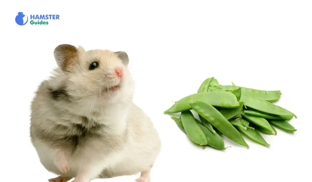 Are Snow Peas Safe for Hamsters