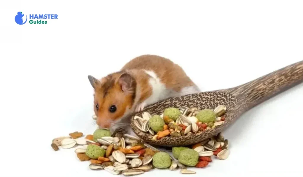 Benefits Of Bird Food For Hamsters