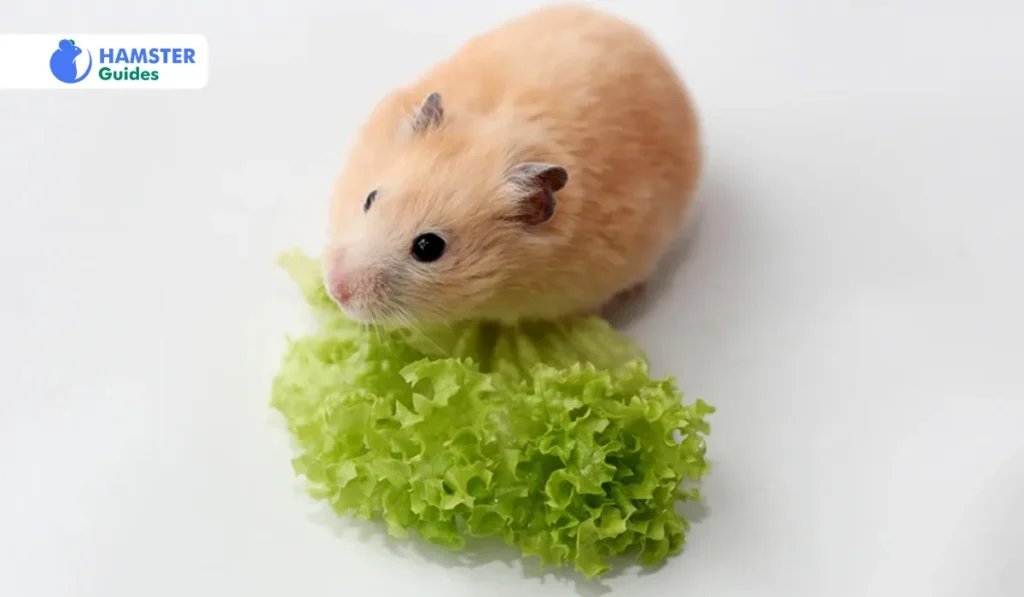Benefits of Broccoli