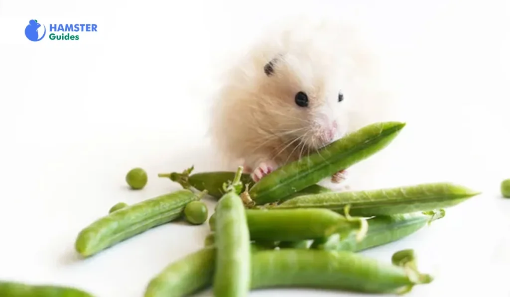 Benefits of Peas for Hamsters