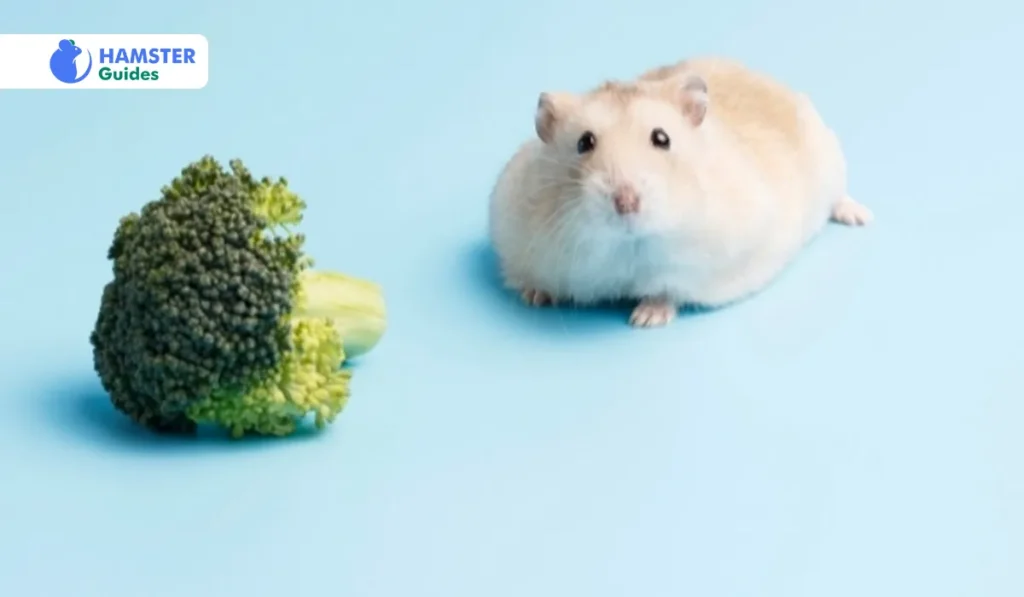 Broccoli is Good for Mental Health