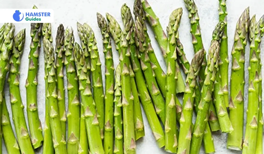Calcium Concerns