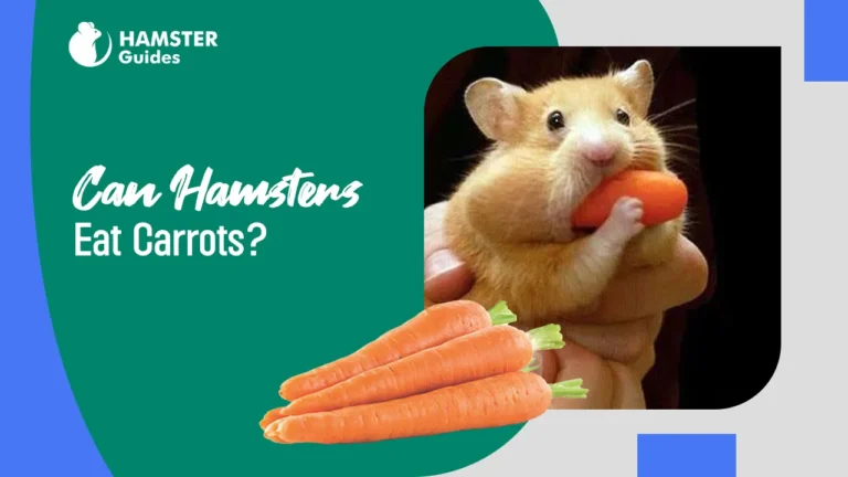 Can A Hamster Eat Carrots