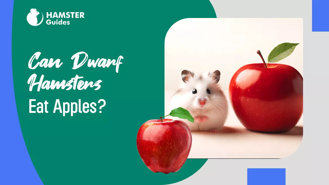 Can Dwarf Hamsters Eat Apples