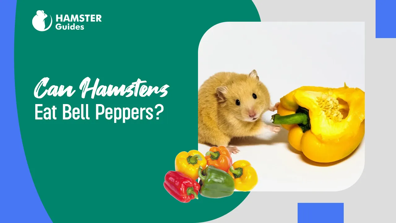 Can Hamsters Eat Bell Peppers