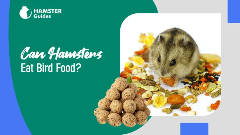 Can Hamsters Eat Bird Food