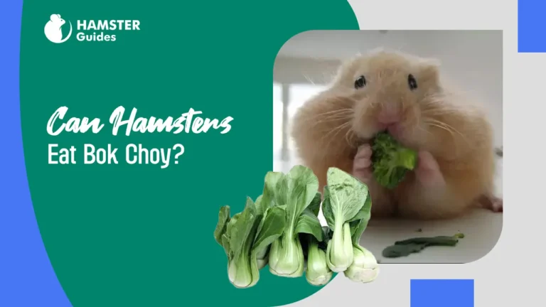 Can Hamsters Eat Bok Choy