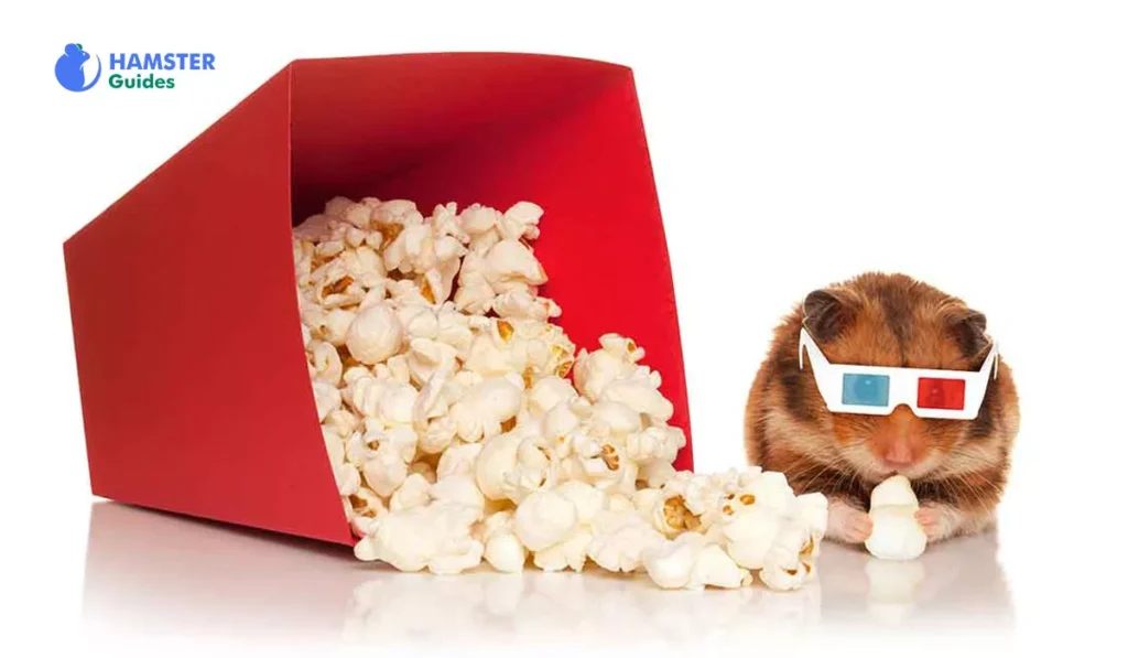 Can Hamsters Eat Butter Popcorn