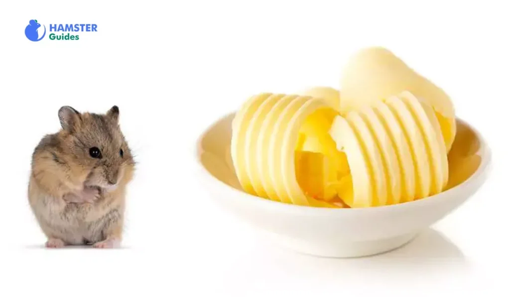 Can Hamsters Eat Butter-Related Foods