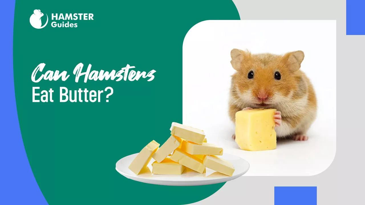 Can Hamsters Eat Butter