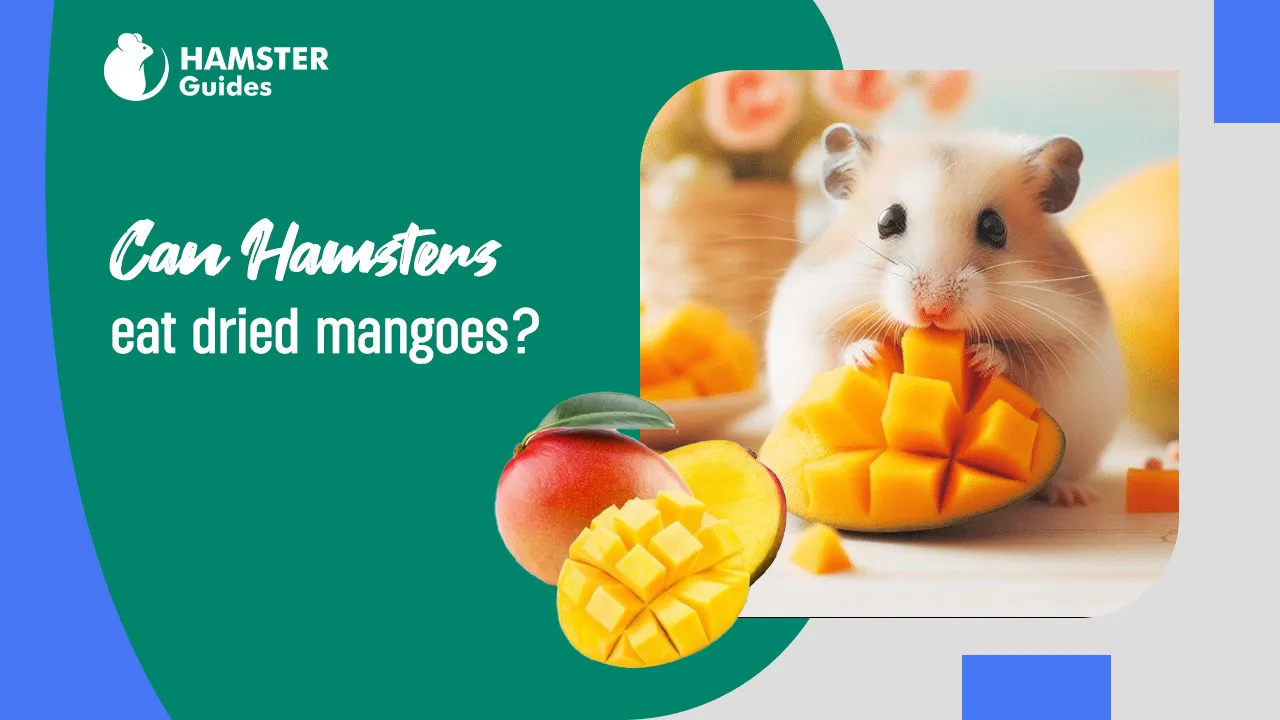 Can Hamsters Eat Dried Mangoes