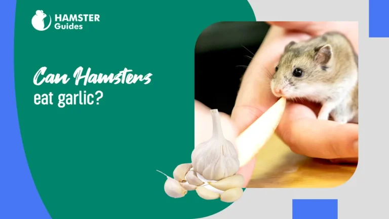 Can Hamsters Eat Garlic