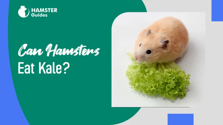 Can Hamsters Eat Kale