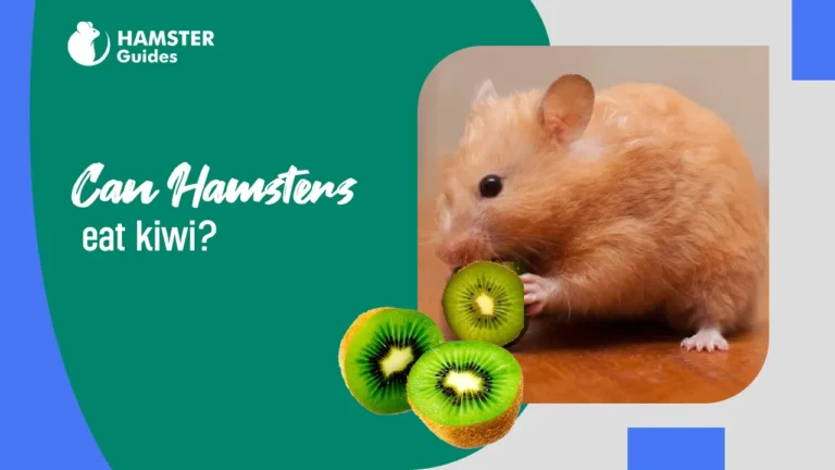 Can Hamsters Eat Kiwi