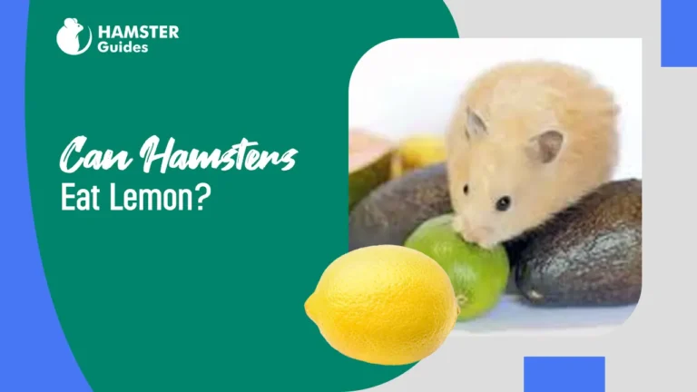 Can Hamsters Eat Lemon
