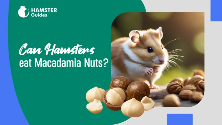 Can Hamsters Eat Macadamia Nuts