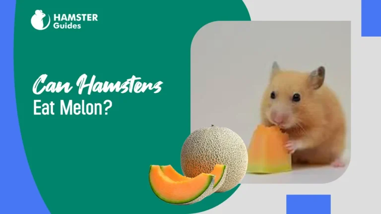 Can Hamsters Eat Melon