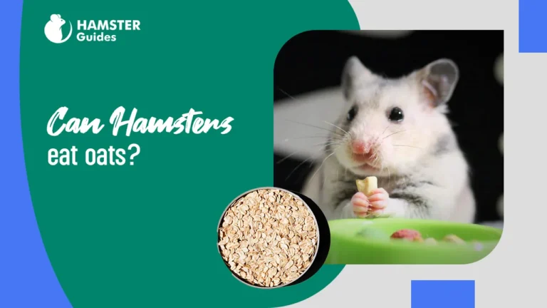 Can-Hamsters-Eat-Oats