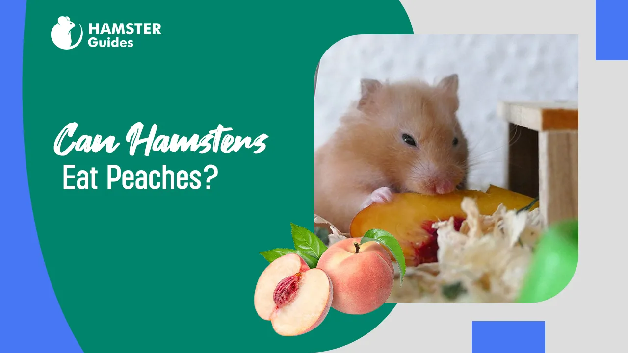 Can Hamsters Eat Peaches