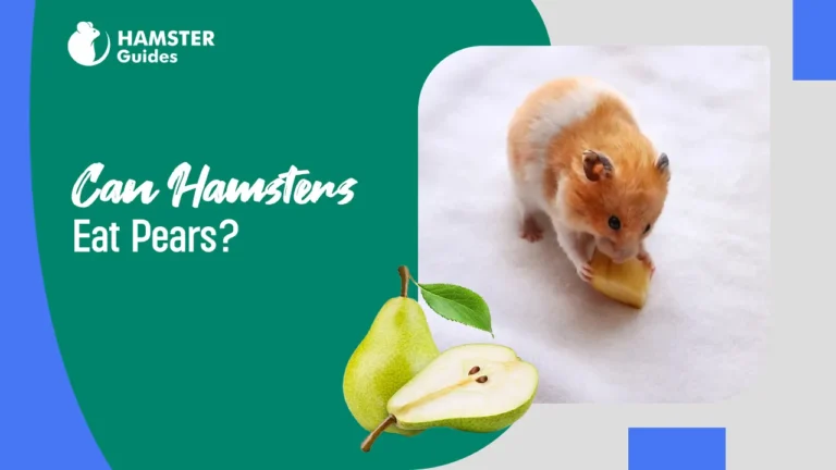Can Hamsters Eat Pears