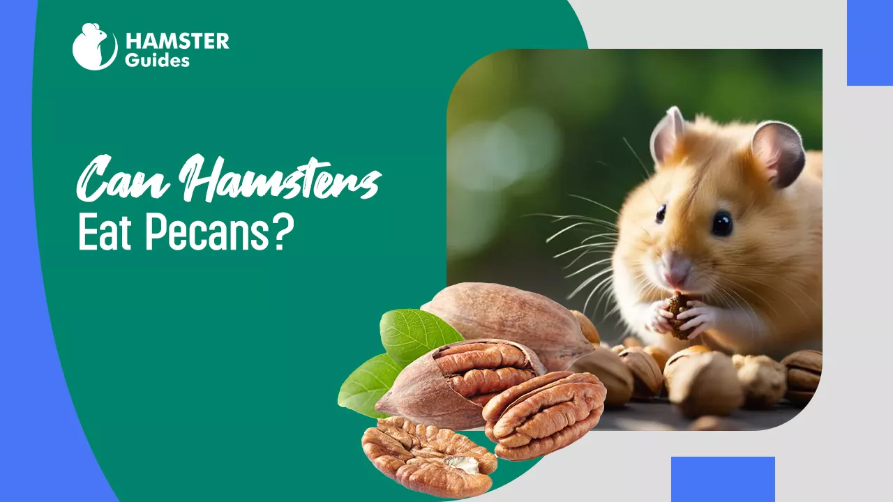 Can Hamsters Eat Pecans