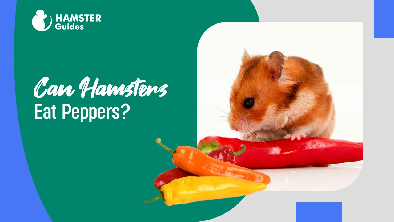 Can Hamsters Eat Peppers