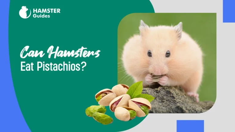 Can Hamsters Eat Pistachios
