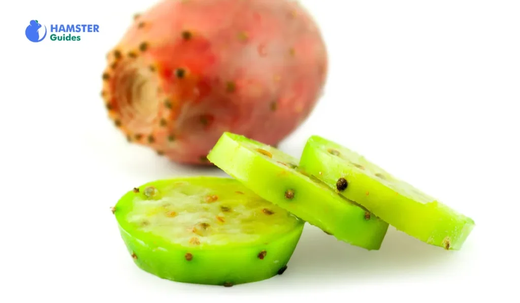 Can Hamsters Eat Prickly Pear