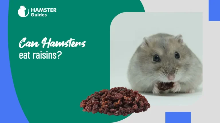 Can Hamsters Eat Raisins